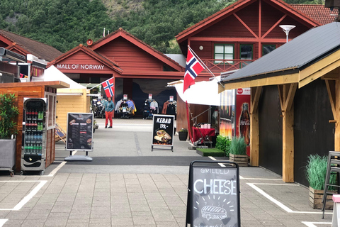 Ferrocarril de Flam, Mirador de Stegastein y Crucero por el Fiordo