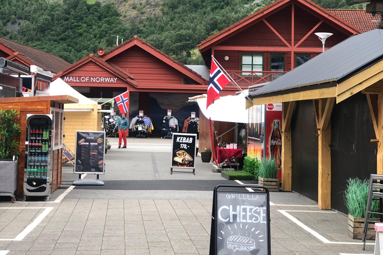 Desde Bergen: excursión de un día con el ferrocarril de Flam y crucero por los fiordos