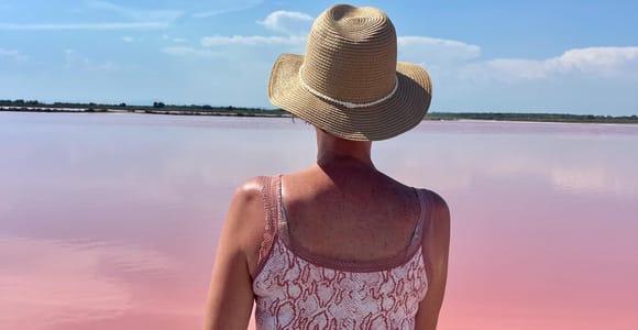 Von Montpellier: Geführte Tour durch die Camargue und die Salzwiesen
