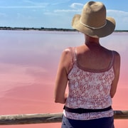 From Montpellier: Camargue and Salt Marshes Guided Tour