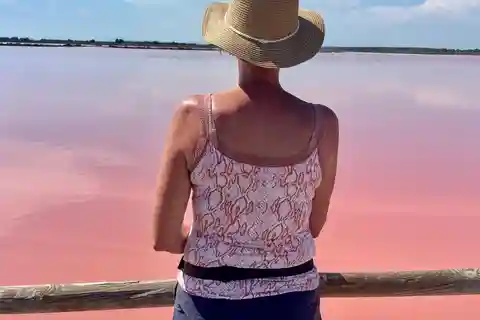 De Montpellier: Tour guiado por Camargue e Pântanos Salgados