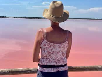 Au départ de Montpellier : Visite guidée de la Camargue et des marais salants