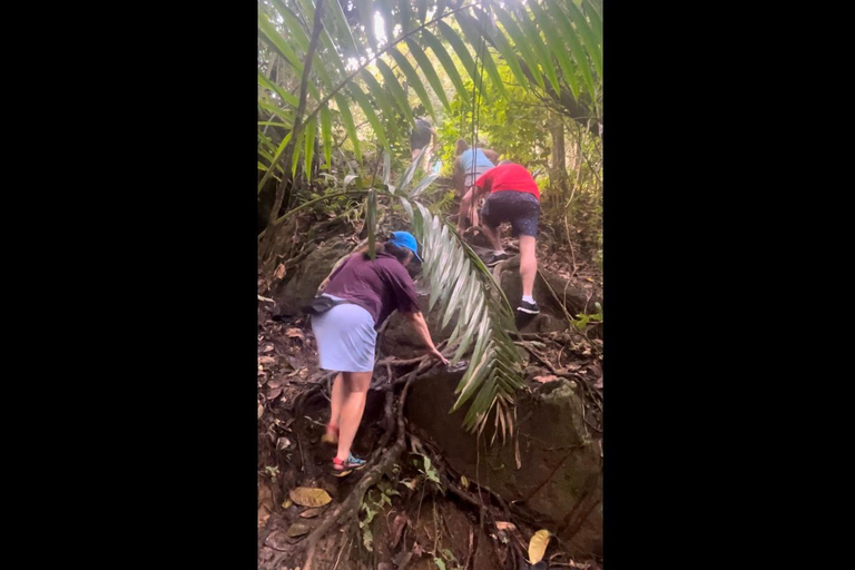 NanichiConcierge: El Yunque hiking (Contact first) NanichiConcierge: Tour with beautiful views and hiking.