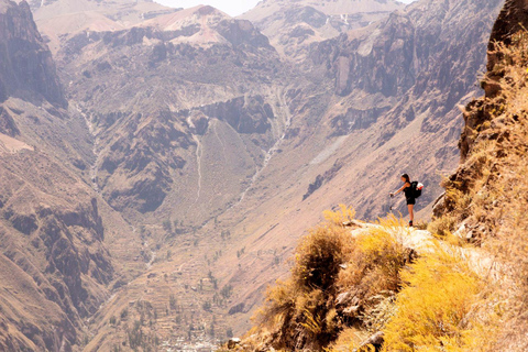 Arequipa: trekking di 2 giorni attraverso la Valle del Colca