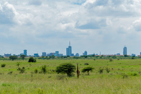 Nairobi National Park Game drive with Coffee Stop Nairobi National Park Private Safari by Open Roof Van