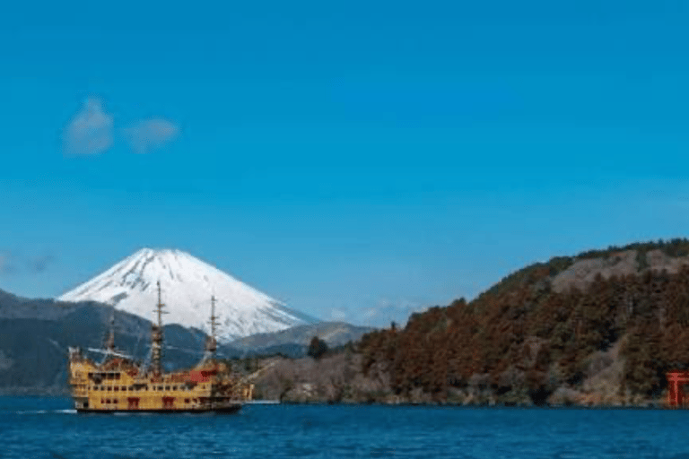From Tokyo: Mount Fuji Full Day Customizable Private Tour