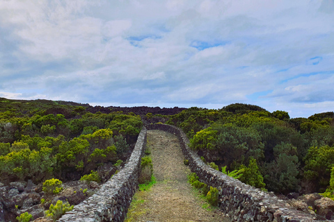 Insel Terceira: Baías da Agualva Wanderung + Picknick + Biscoitos