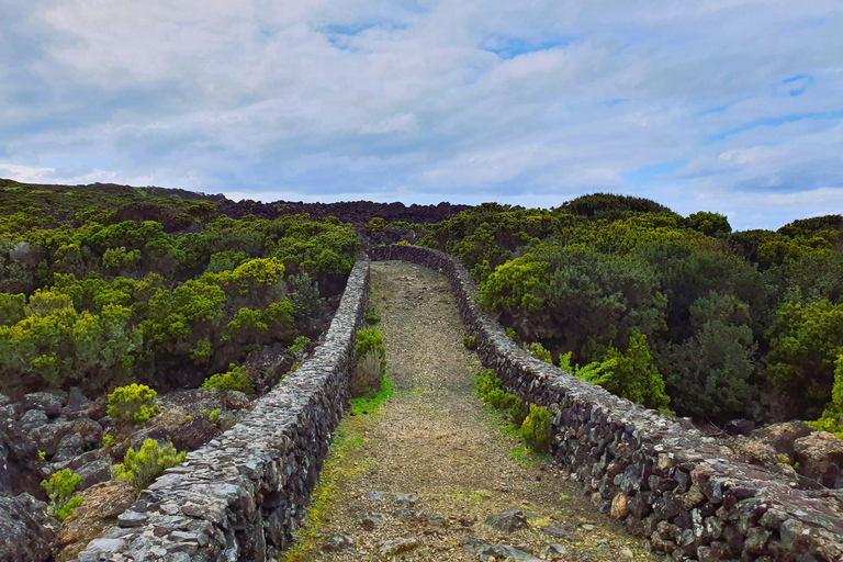 Insel Terceira: Baías da Agualva Wanderung + Picknick + Biscoitos