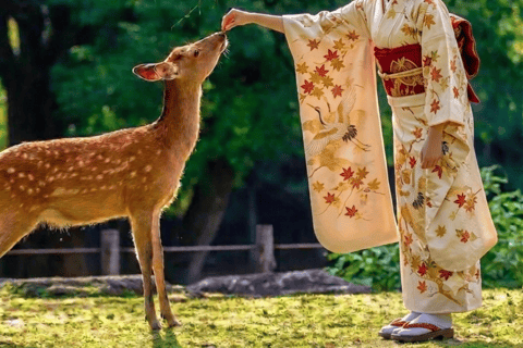 Day Tour to Arashiyama Nara Park and Fushimi Inari Taisha Depart From Kyoto Station