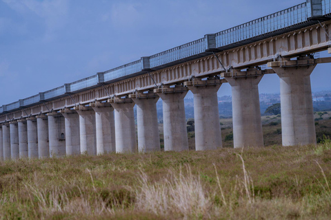 Nairobi: National Park Game Drive with Local Guide