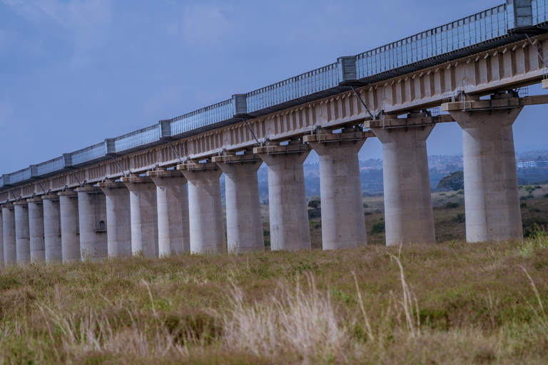 Nairobi: National Park Game Drive with Local Guide