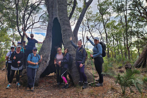 Perth: Bibbulmun Track Hiking Experience with Lunch