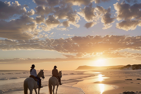 Le Cap : balade à cheval à Long Beach