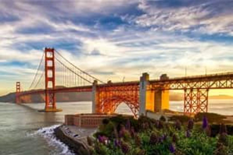 San Francisco: 5-Day California Coast, Vineyards & Wine Tour Double Occupancy Room