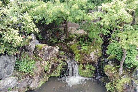 نارا: جولة في حدائق يوشيكين وإيسوئين مع حفل شاي