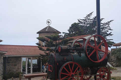 ISLA NEGRA Y VINO CHILENO