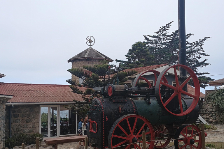 ISLA NEGRA Y VINO CHILENO