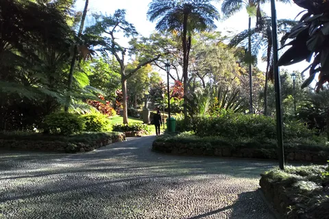 Funchal: lugares famosos e recantos mágicos.