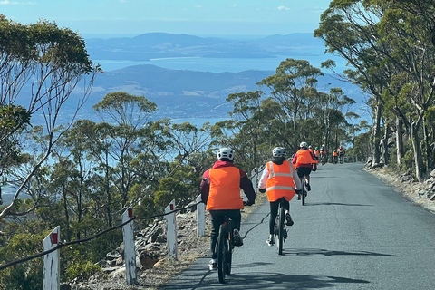 De Hobart: Cume do Monte Wellington e passeio de bicicleta pela floresta tropical