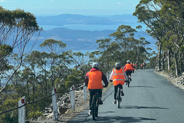 Depuis Hobart : Sommet du Mont Wellington et excursion à vélo dans la forêt tropicale