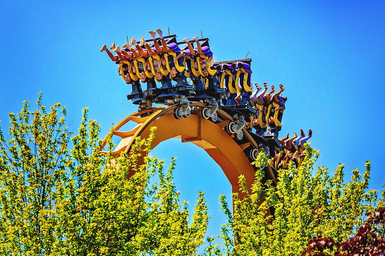 Chicago: Six Flags Great America Admission Ticket Six Flags: Great America One Day Ticket