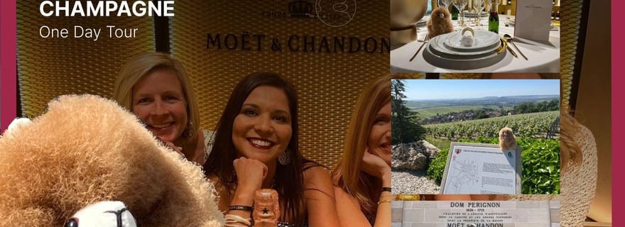 Excursion privée en Champagne : Epernay et Reims 9 verres