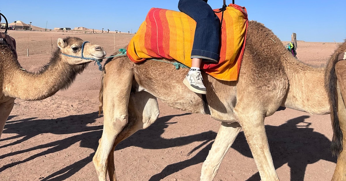 Romantic Dinner in Agafay Sunset with Camel Ride & Fire Show | GetYourGuide