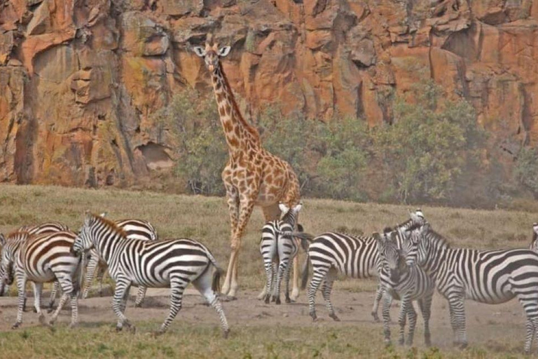 Excursión de un día al Monte Longonot desde Nairobi