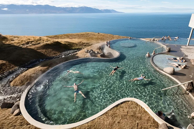 Akureyri: Lake Mývatn, GeoSea, & Whale Watching Tour