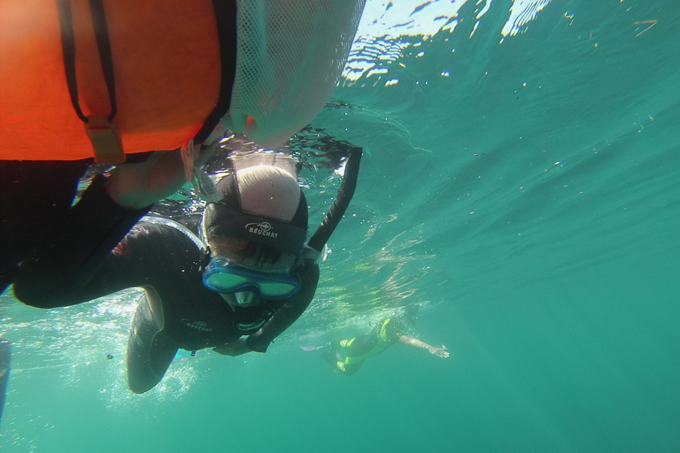 Marsella: Aventura de snorkel en Endoume con aperitivos y bebidas