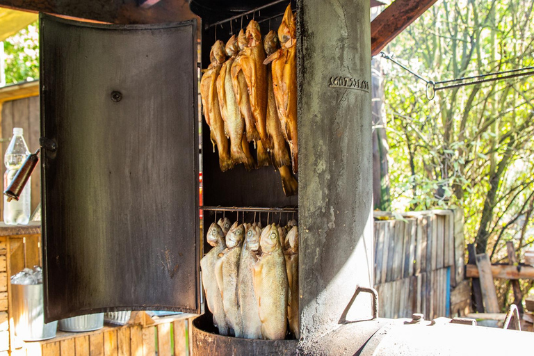 Krakow: Magical day with Alpacas, Castle & Sunset on Water