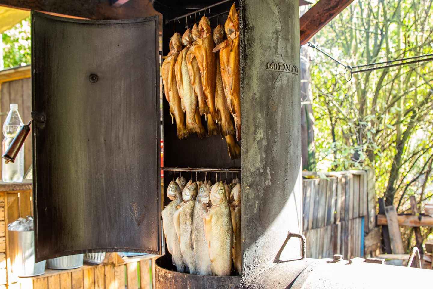 From Krakow: Ojców National Park and Ogrodzieniec Castle