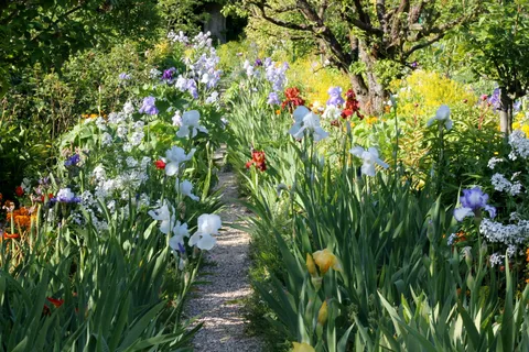 Paris: Giverny Giverny Gardens dagsutflykt med professionell guide