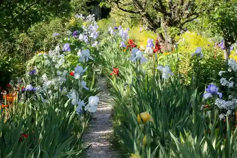 París: Excursión de un día a los Jardines de Giverny con guía profesional