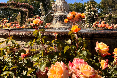 Madrid: Magische Retiro Park Fietstour