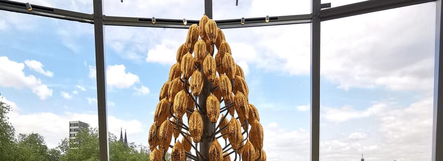 Visite guidée du musée du chocolat et de la vieille ville