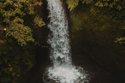 Ubud: Temple, Waterfall, Rice Terrace, Ubud Market & Palace Without entry tickets