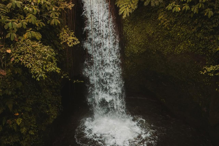 Ubud: Temple, Waterfall, Rice Terrace, Ubud Market & Palace Without entry tickets