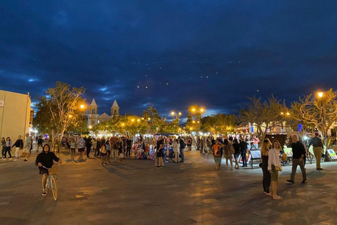 Cabo San Lucas: Excursión a las Maravillas de San José