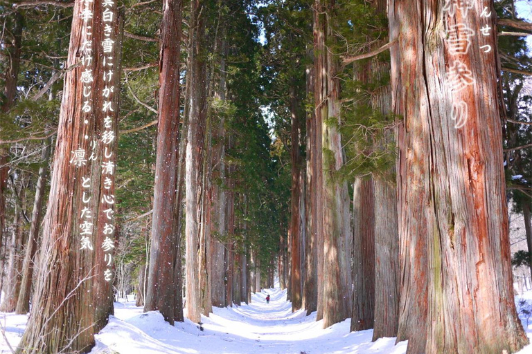 Tokyo: Nagano Snow Monkeys or Shrine or Snow Hut Day Trip Package 2: Togakushi Shrine Itinerary