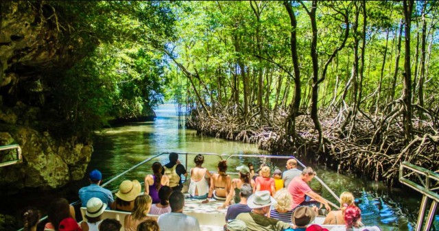 Visit Los Haitises boat tour & Natural Pools Spa Cano Hondo in Las Galeras