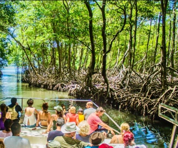 Punta Cana: Excursión de día completo al Parque Nacional de Los Haitises
