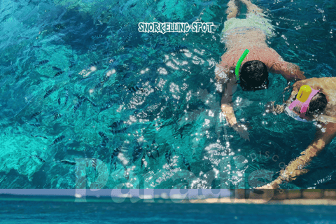 Mauricio: excursión en lancha rápida a la Isla del Ciervo con almuerzo y bebidasMauricio: excursión en lancha rápida a la isla aux Cerfs con almuerzo y bebidas