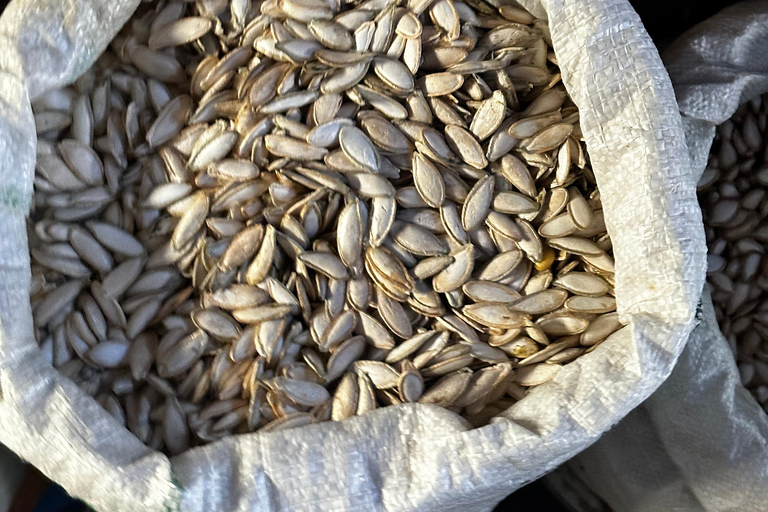 Oaxaca: From Tourist Markets to the Commercial Heart of Oaxaca