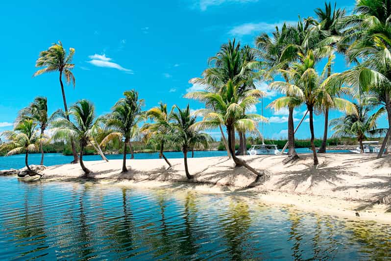 Grand Cayman West Island Guided Tour with Entry Tickets GetYourGuide