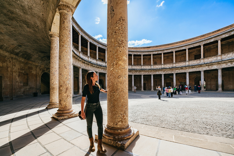 Granada: Visita guiada a Alhambra com Palácios e Jardins NasridasExcursão Particular de Última Hora - Francês