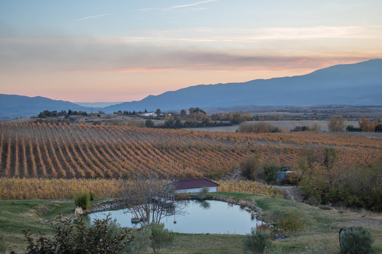 Sofia: Sandanski and Pozar Thermal Escape 9-Day Spa Tour