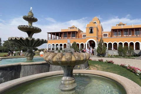 Huacachina: Private transportation tour with Pisco tasting