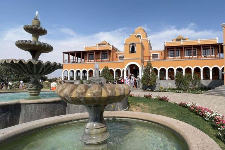 Huacachina: Private transportation tour with Pisco tasting