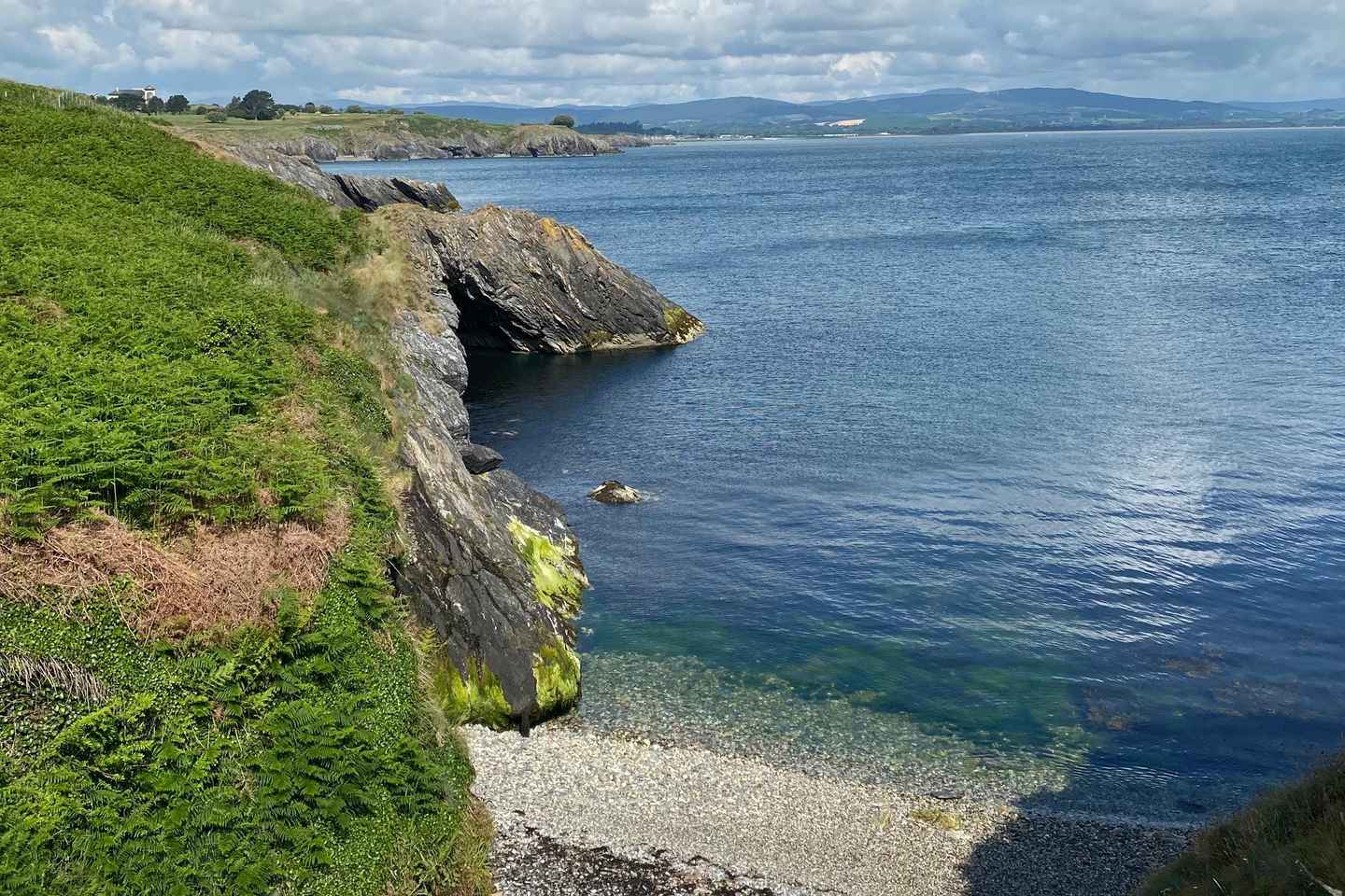 Wicklow: Guided Cliff Walk with Seals and Town Tour w/Picnic